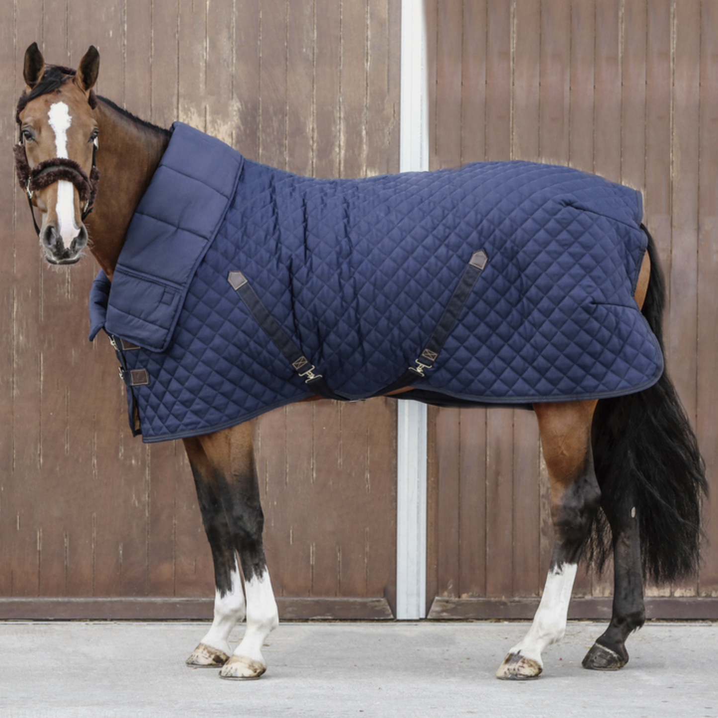 Kentucky Horse Duvet