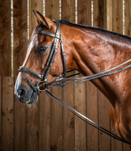 Dy'on Hunter Sloft Teugel 1/2