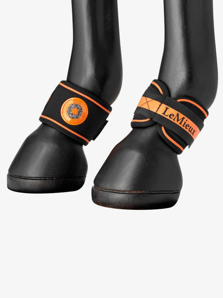 LeMieux Magno Pastern Wrap Kootholtebeschermer Black