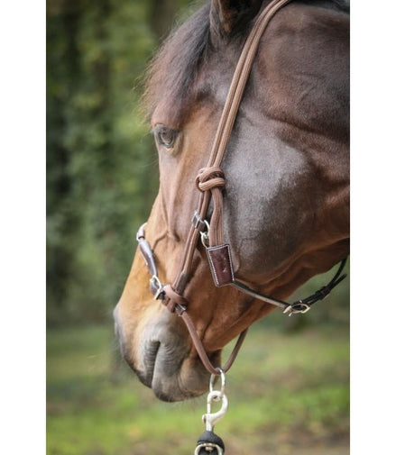 Penelope Halster éthologique