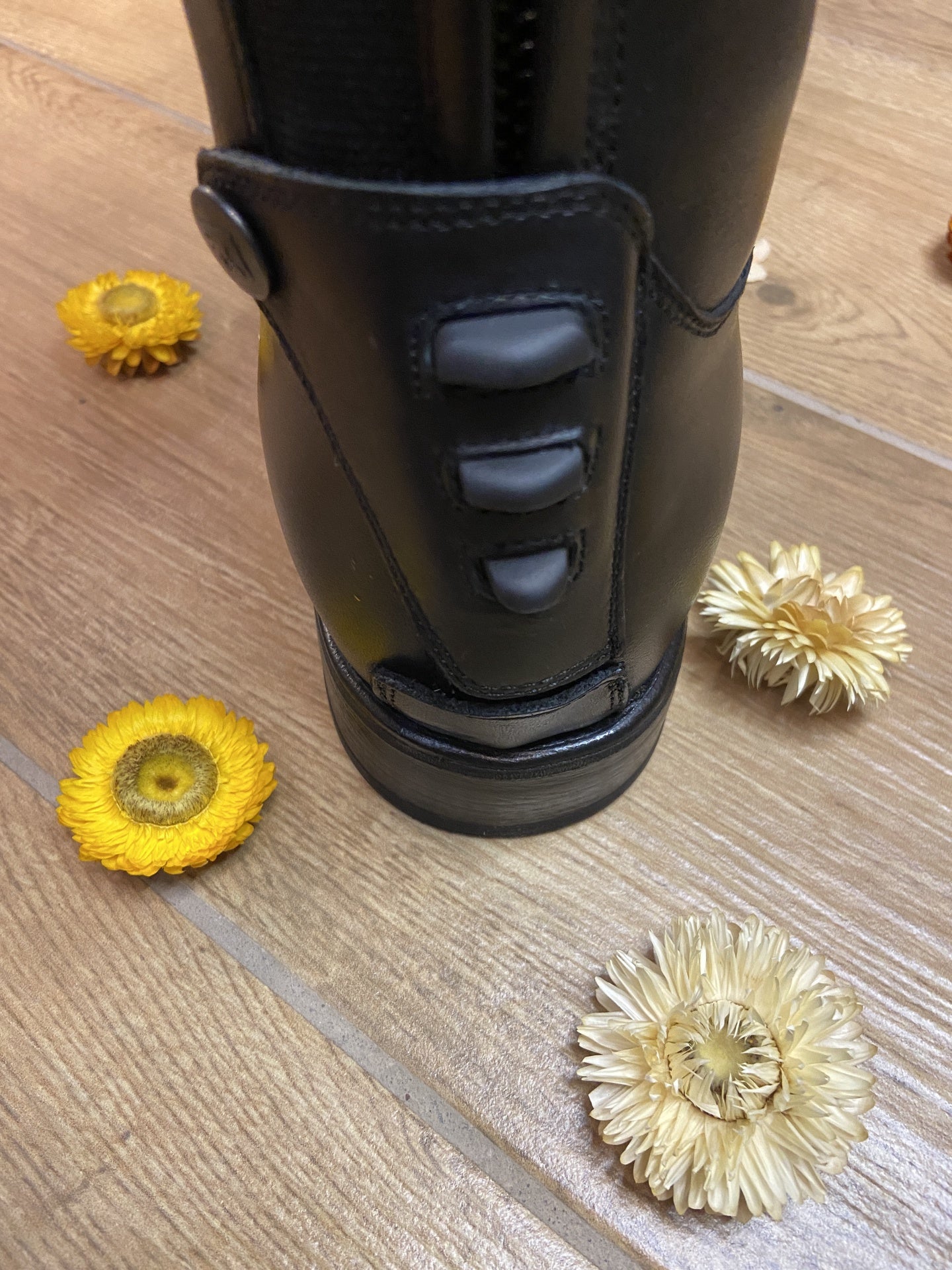 DeNiro Levante/01 Wrat Black Grapapiro