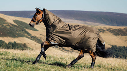 LeMieux Arika 600D Ripstop Outdoordeken Alpine