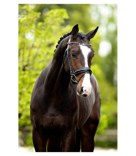 BR Hoofdstel Andover