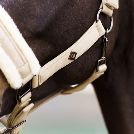Imperial Riding Halster IRHJewel