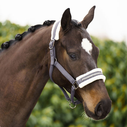 Imperial Riding Halster IRHJewel