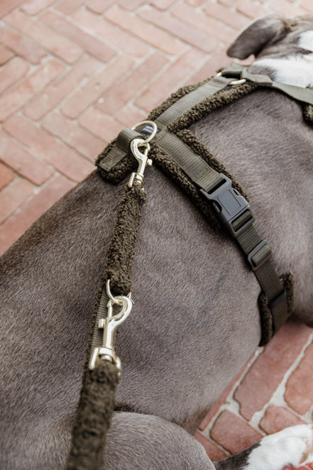 Kentucky Dog Harness Active Teddy Fleece