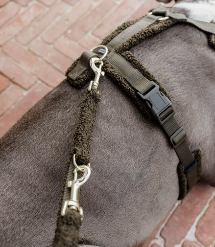 Kentucky Dog Harness Active Teddy Fleece