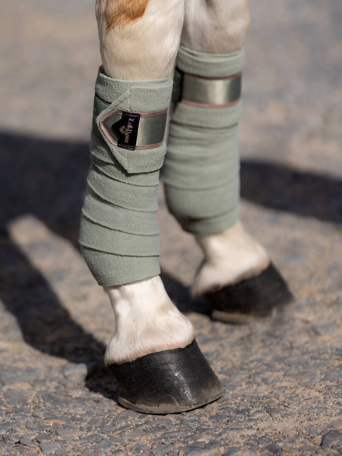 LeMieux Loire Polo Bandages SS24