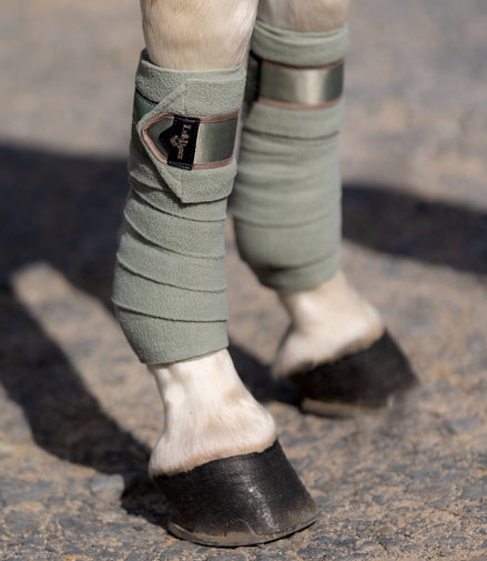 LeMieux Loire Polo Bandages SS24