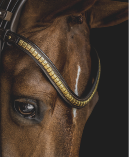 Utzon Olympic Hoofdstel Brass Browband With Clinchers Full