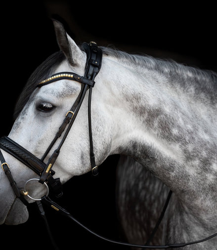Utzon Olympic Hoofdstel Brass Browband With Clinchers Full