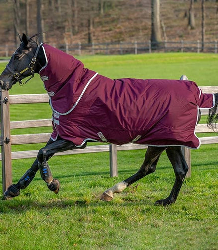 Horseware Amigo Hero Ripstop Plus