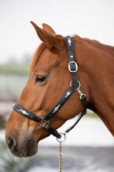 HFI Polo Halter