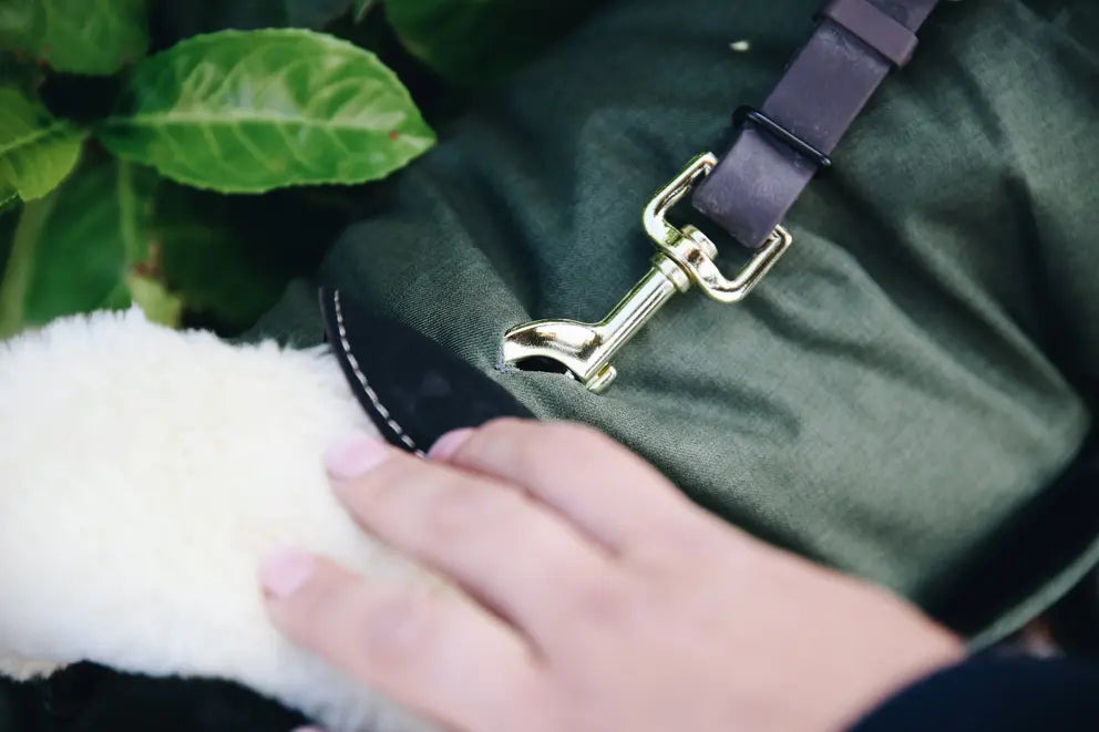 Kentucky Hondenjas Waterdicht 300gr