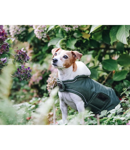 Kentucky Hondenjas Waterdicht 300gr