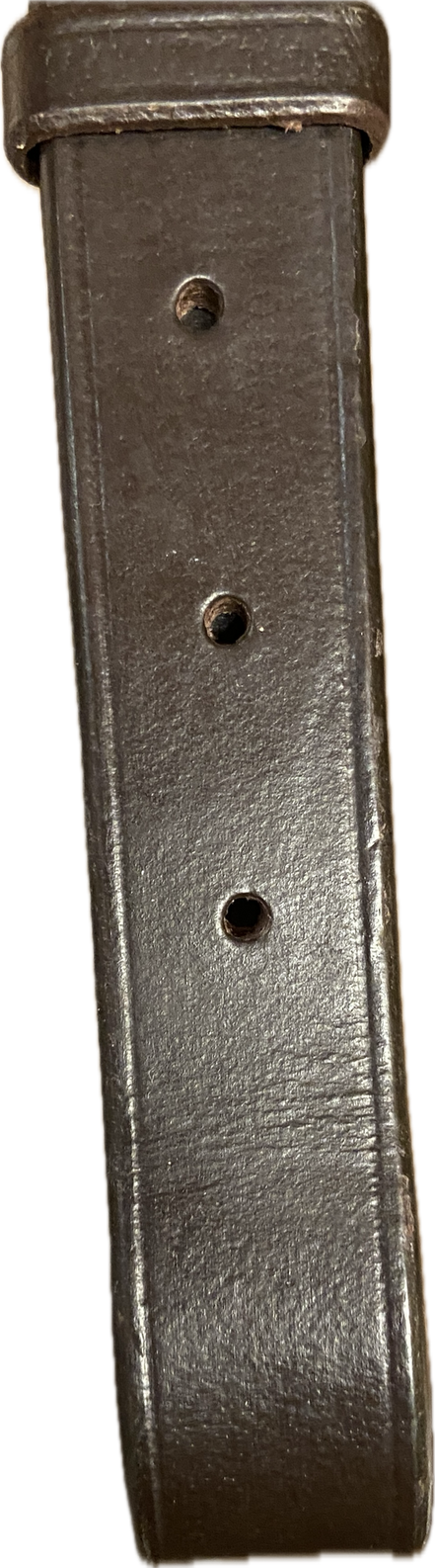 Euroriding Martingal Torino