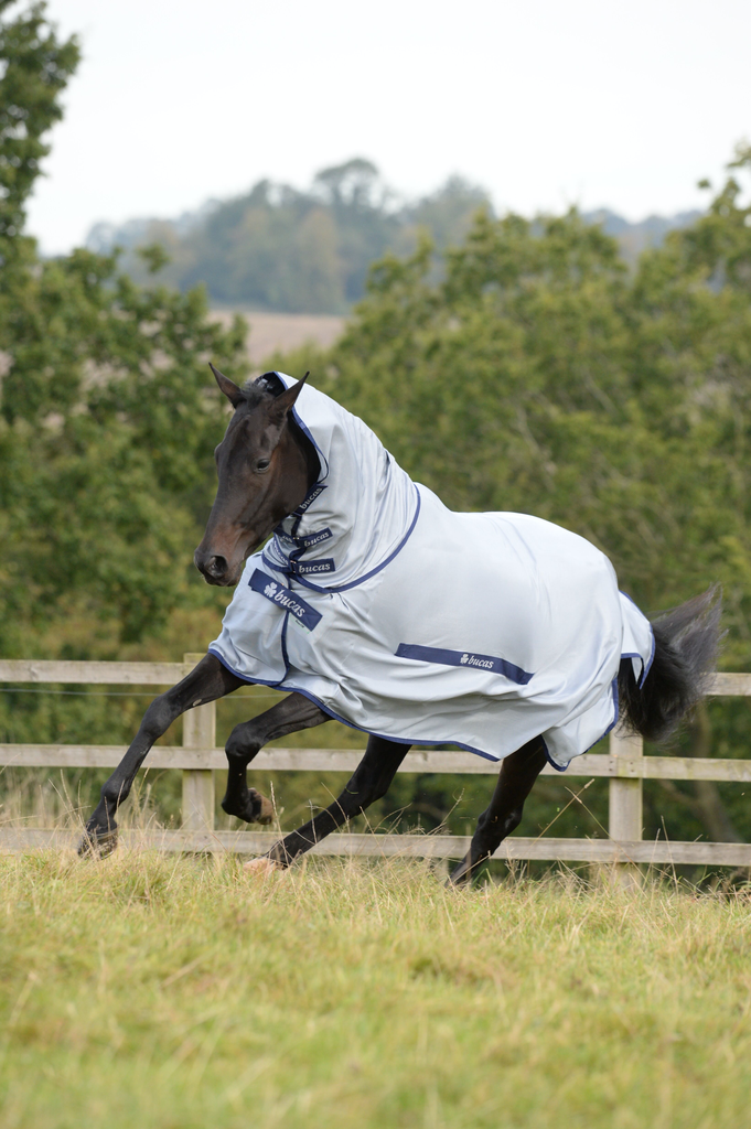 Bucas Buzz-Off & Neck Blue Vliegendeken