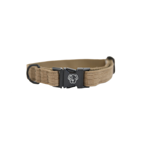 Kentucky Dog Collar Lizard