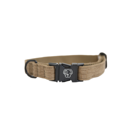 Kentucky Dog Collar Lizard