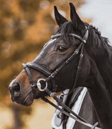 Sprenger Eggbutt - hard carbon