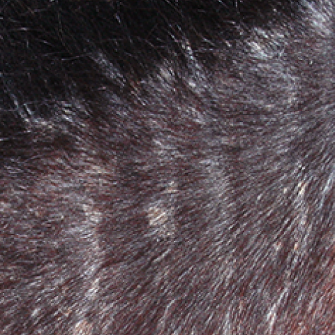 Animaderm Cutene  - Verzorgende Crème 100ml