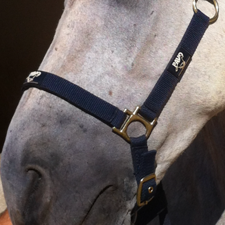 Animaderm Cutene 200ml