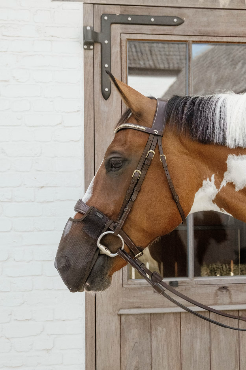 Kentucky Anti-vlieg neusnetje