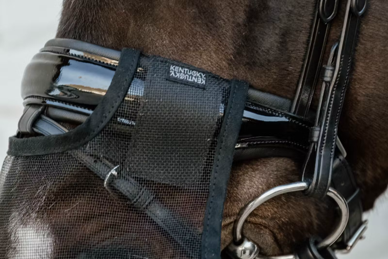 Kentucky Anti-vlieg neusnetje