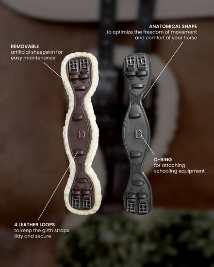 Kentucky Anatomical short girth