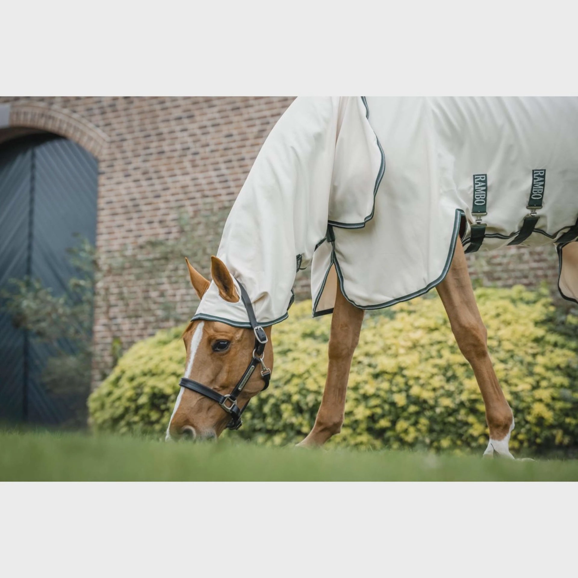 Horseware Rambo Hoody Chalk