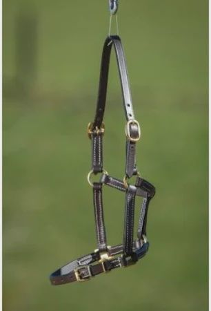 HFI Halster in leder Shetland/veulen