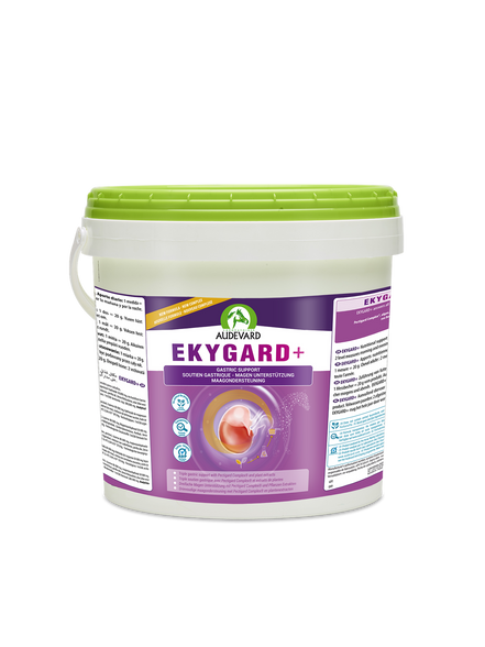 Audevard Ekygard + 6kg