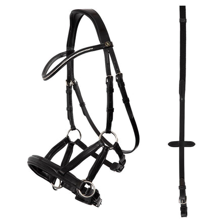 BR Bitloos Hoofdstel Lewes Side & Pull