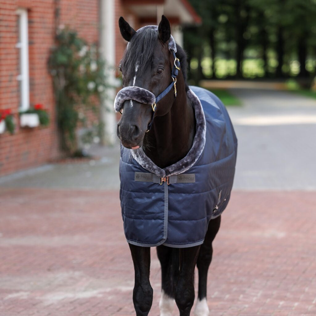 Bucas Show-Line Staldeken