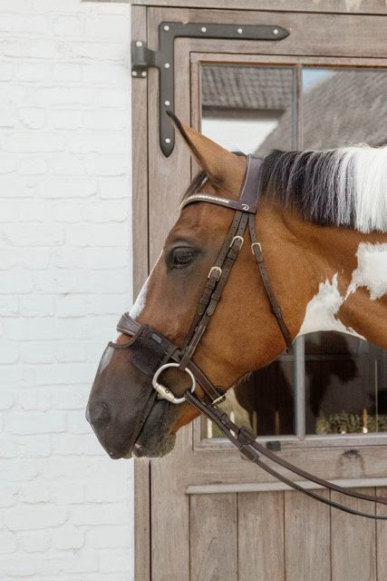 Kentucky Anti-vlieg neusnetje