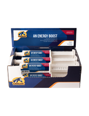 Cavalor An Energy Boost Paste 1 x 60 g