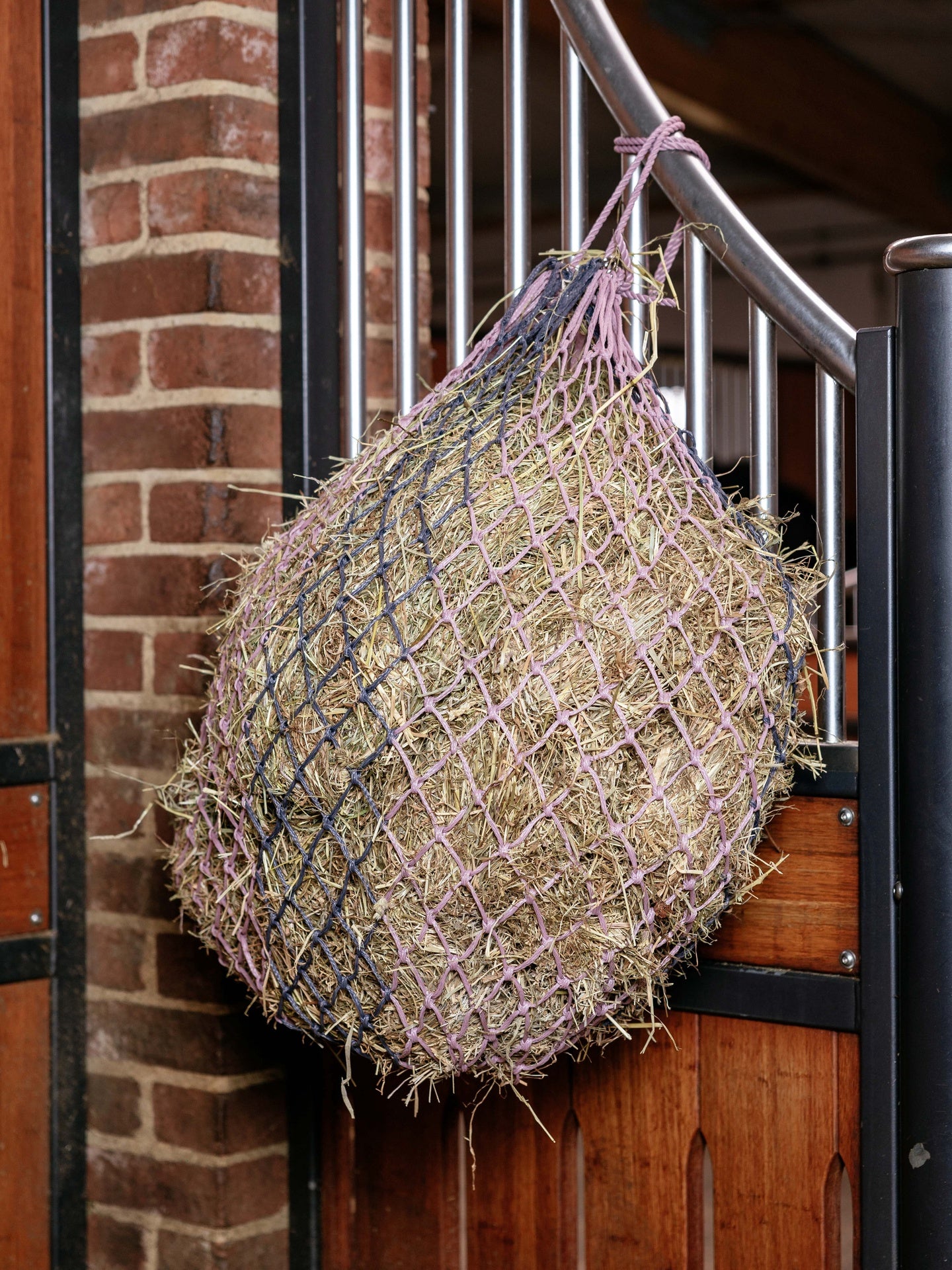 LeMieux Hippo Hooinet