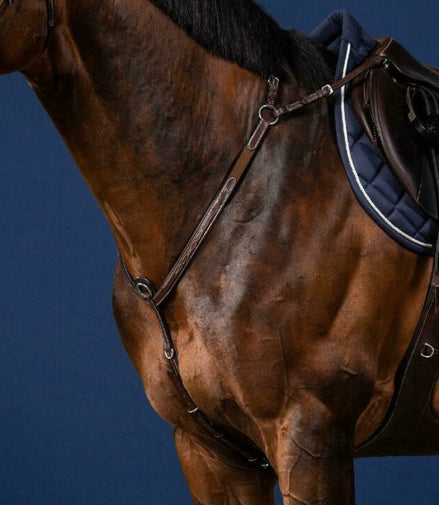 Dy'on Bridge Breastplate US Collection