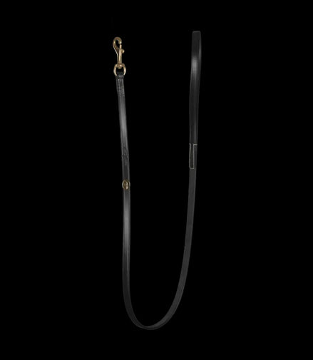 Dy'on Classic Dog Leash