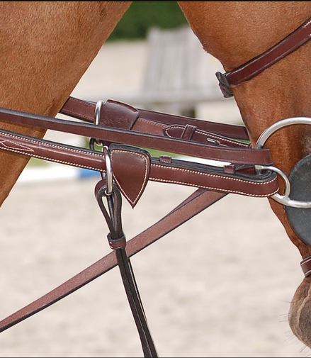 Dy'on Full Leather Draw Reins 1/2 - D Collection