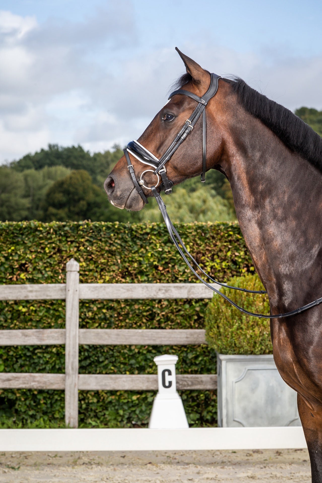 Dy'on Patent Large Crank Noseband White pad. & Flash - New English