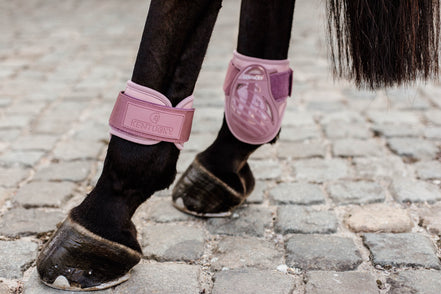 Kentucky Kogelbeschermers