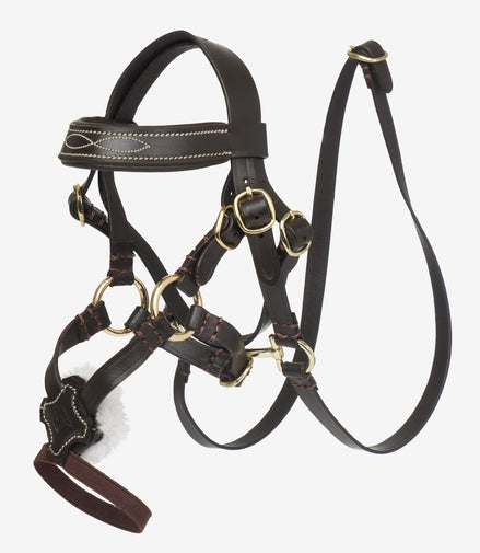 LeMieux Toy Pony Grackle Hoofdstel