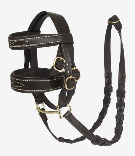 LeMieux Toy Pony Hunter Hoofdstel