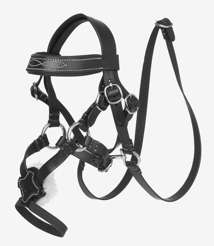 LeMieux Toy Pony Grackle Hoofdstel