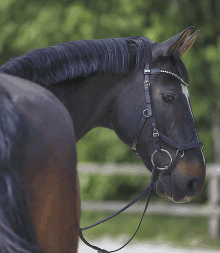 Sprenger Flex Control