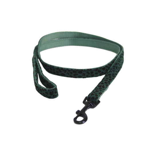 Kentucky Dog Leash Leopard