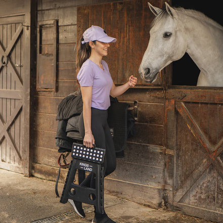 Kingsland KLharlee Folding Step Stool