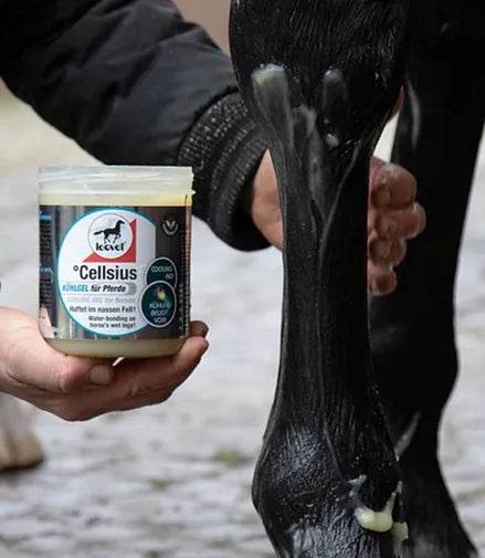 Leovet Cellsius Cooling Gel 600ml