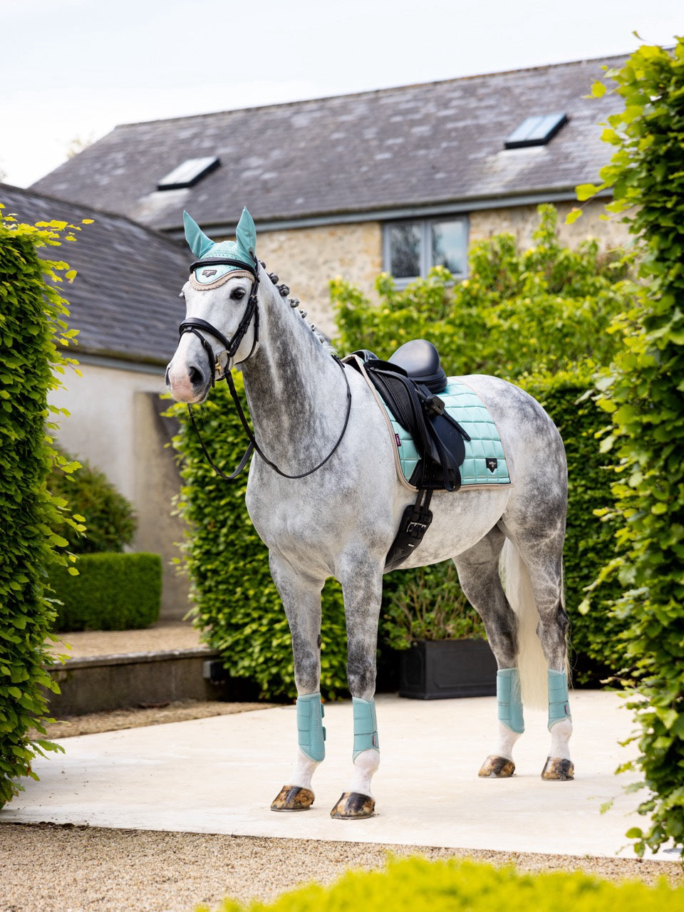 LeMieux Loire Saddle Pad Aqua SS25